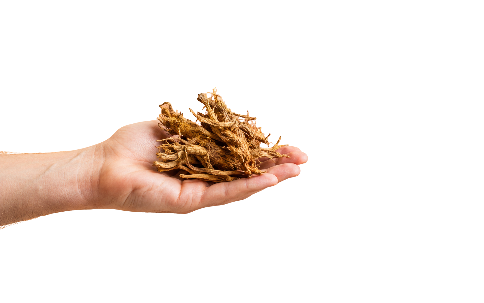 Unlock your best morning with our precision infrared coffee.