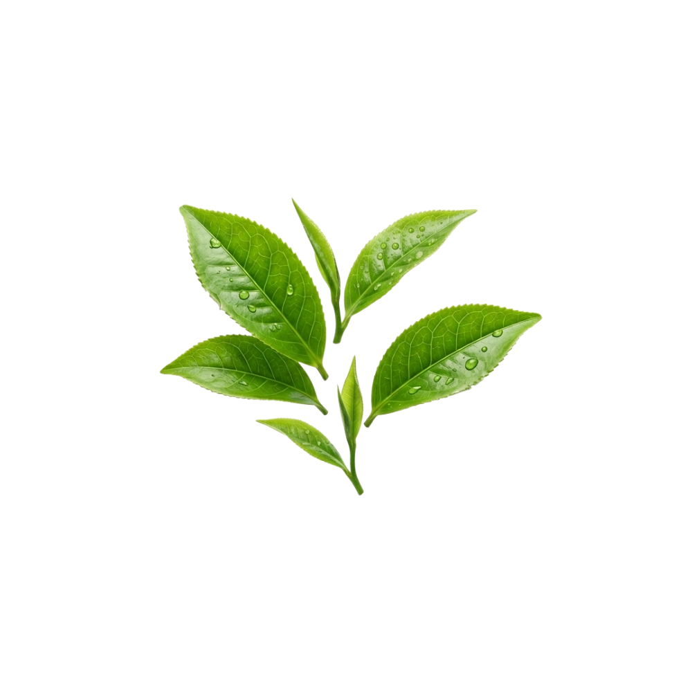 L-Theanine from green tea